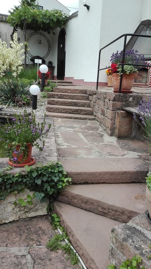 Ferienwohnung Belle Vue Bernkastel-Kues Ngoại thất bức ảnh