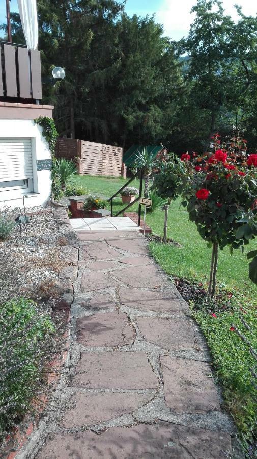 Ferienwohnung Belle Vue Bernkastel-Kues Ngoại thất bức ảnh